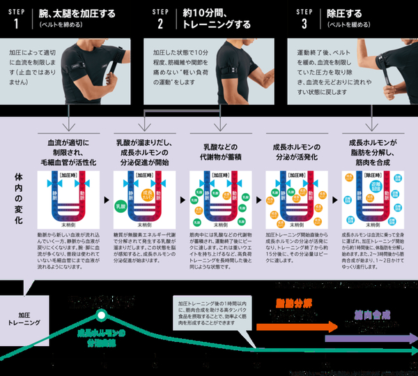 図解で詳説！加圧トレーニング 画像