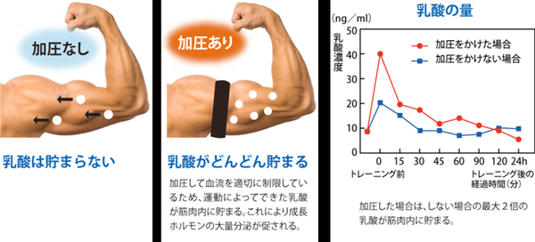 加圧トレーニングの効果続き 画像